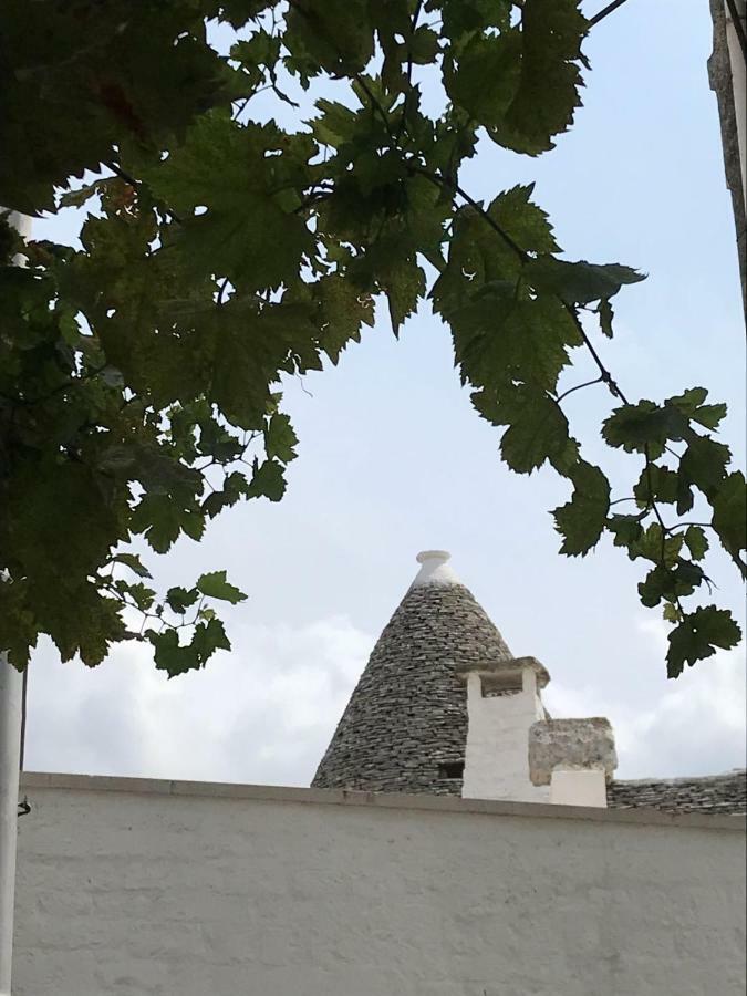 알베르벨로 Il Trullo Del Palmento 빌라 외부 사진